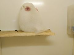 -龙猫仔乐园(惠福东路店)