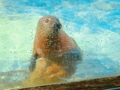 -太平洋海底世界