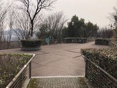 -羊山湖公园