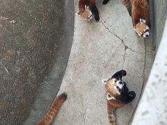 -昆明动物园