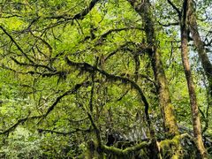 -西岭雪山大飞水景区