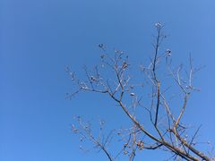 -眉山湿地公园(东坡区)