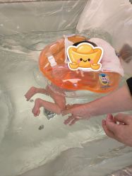 -妍悦月子中心(武汉天地店)