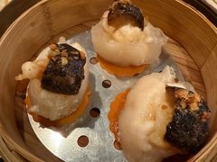 -唐阁(香港朗廷酒店)
