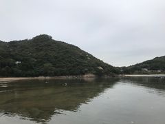 -南丫岛