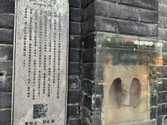 -泡桐树街