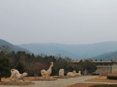 -北京十三陵国家森林公园蟒山景区