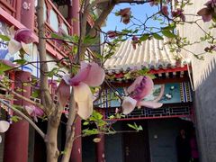 -万源龙顺度假庄园生态观光园