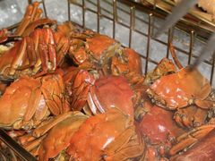 -上海锦江汤臣洲际大酒店