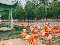 -秦皇岛野生动物园