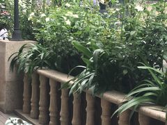 -新廊桥(原科华廊桥店)