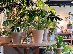 -自由生长植物工作室(深港花卉中心店)