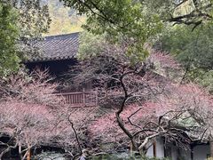 -杭州植物园