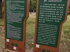 -上海滨江森林公园