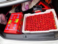 -西郊国际农产品交易中心