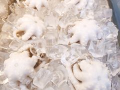 -铭聚章鱼土笋冻(松柏店)