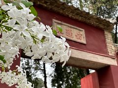 -永乐宫