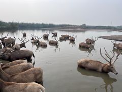 -宁波杭州湾国家湿地公园