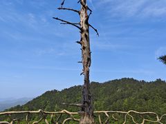 -罗田薄刀峰风景区