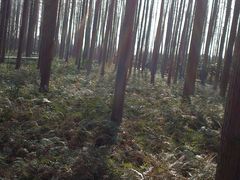 -上海怡沁园度假酒店