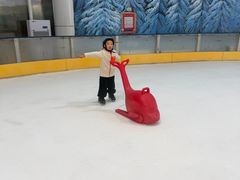 -世界之窗阿尔卑斯冰雪世界