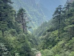 -神农架景区
