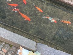 -前童古镇