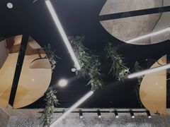 -M Stand(天环广场店)