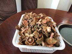 -野菌皇海景野生菌火锅(滨海大道店)