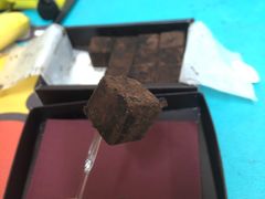 -樱花糕坊(凯德广场店)