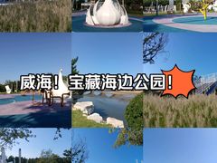 -九龙湾公园