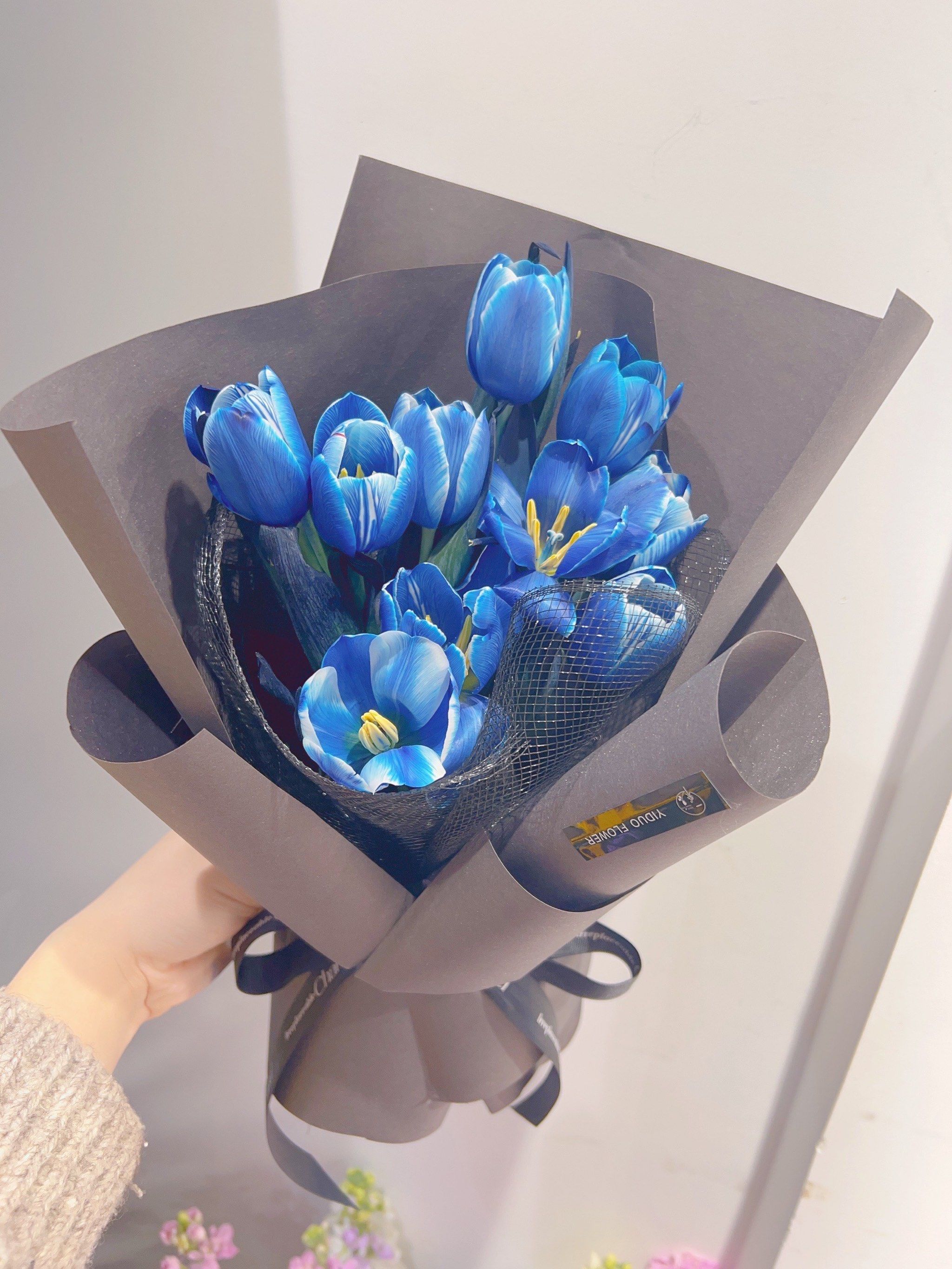 郁金香午夜蓝色系