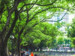 -晓港公园