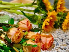 -佩家私房烘焙(宝龙店)