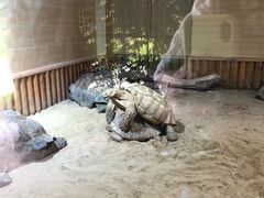 -珠海长隆海洋王国