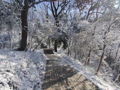 -紫金山山顶公园