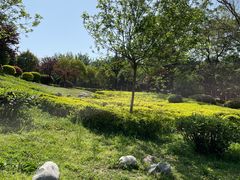 -西安汉城湖景区