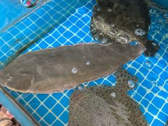 -宾朋海鲜饭庄(兴海路店)