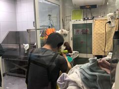 -达爱动物医院·犬猫分区·CT·复杂眼科(远洋山水分院)