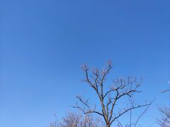 -北京西山国家森林公园