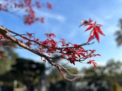 -颐和路民国时期公馆风貌区