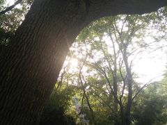 -赭山公园