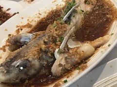 -眉州东坡(博雅店)
