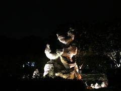-金鸡山公园