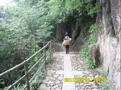 -东天目山风景区