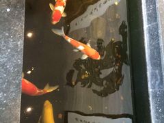 -大同王府至尊酒店