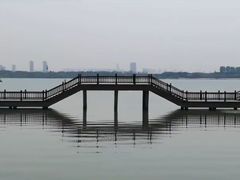 -渤公岛生态公园