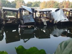 -荔湾湖公园
