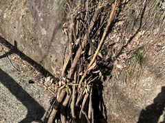 -磐安十八涡风景区