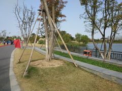 -上海长兴岛郊野公园